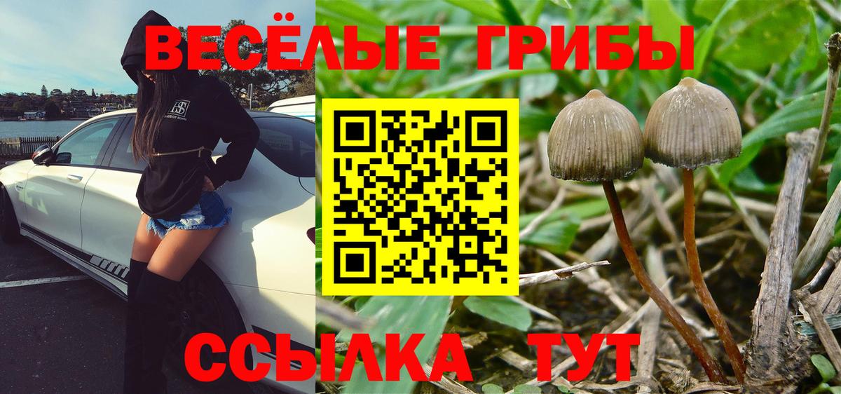 как найти закладки  Псилоцибиновые грибы прущие грибы  Вход с VPN  Копейск 